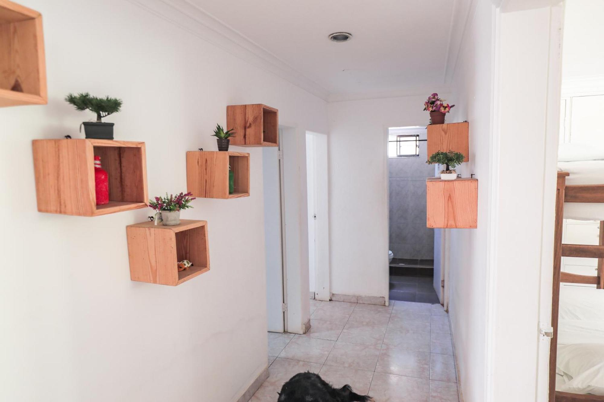Hostal Palo Alto San Andrés Dış mekan fotoğraf